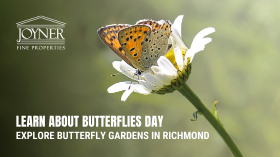 Richmond Butterfly Gardens